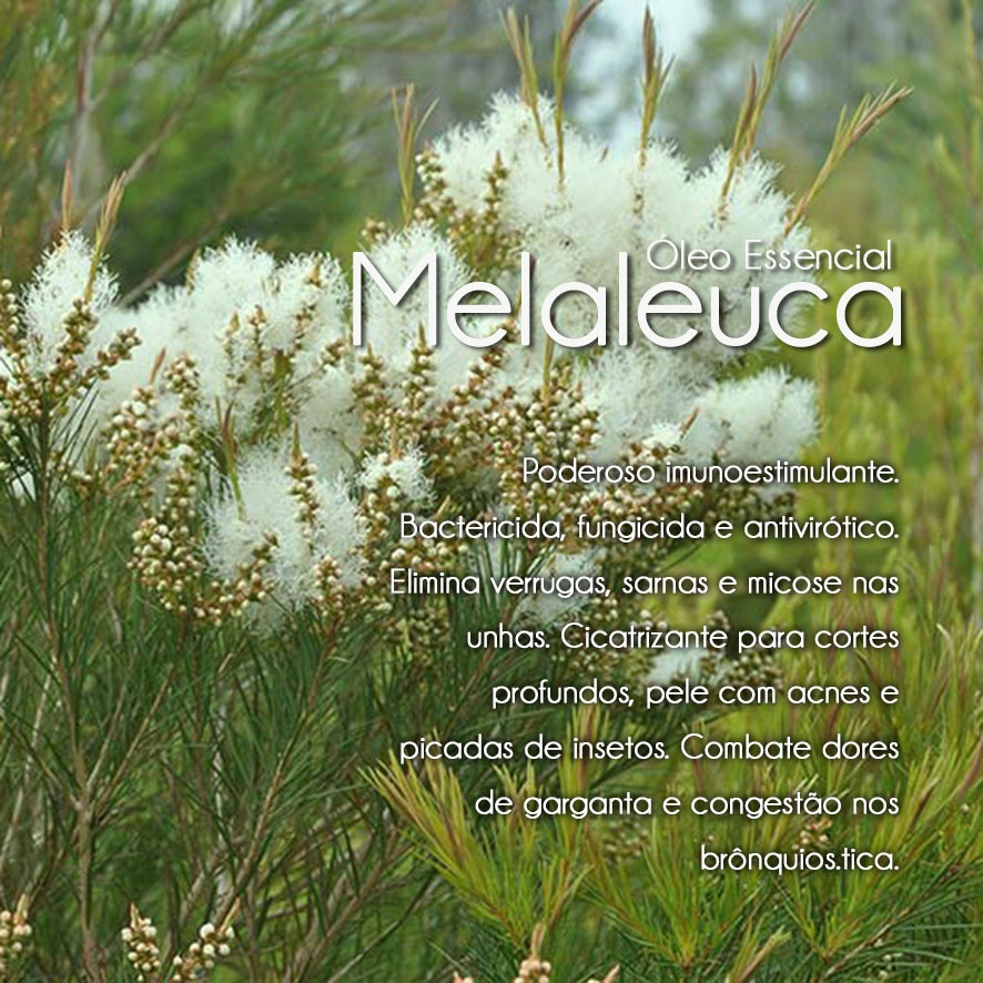 Óleo Essencial Melaleuca/Cosmético (10ml)